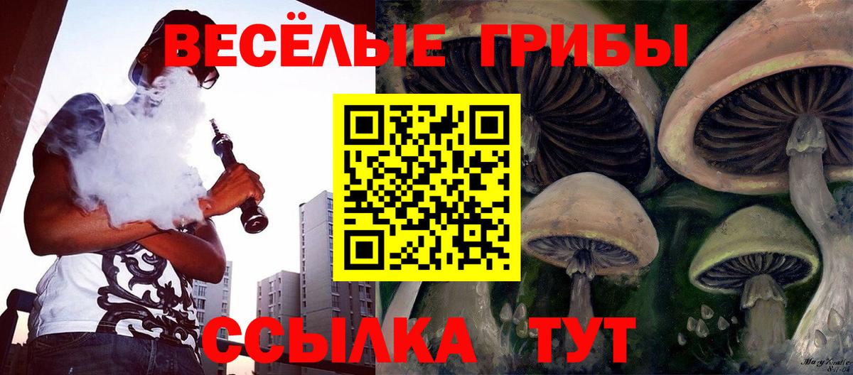 Галлюциногенные грибы Magic Shrooms  Вход с VPN  Галлюциногенные грибы ЛСД  Великий Новгород 